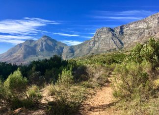 table mountain