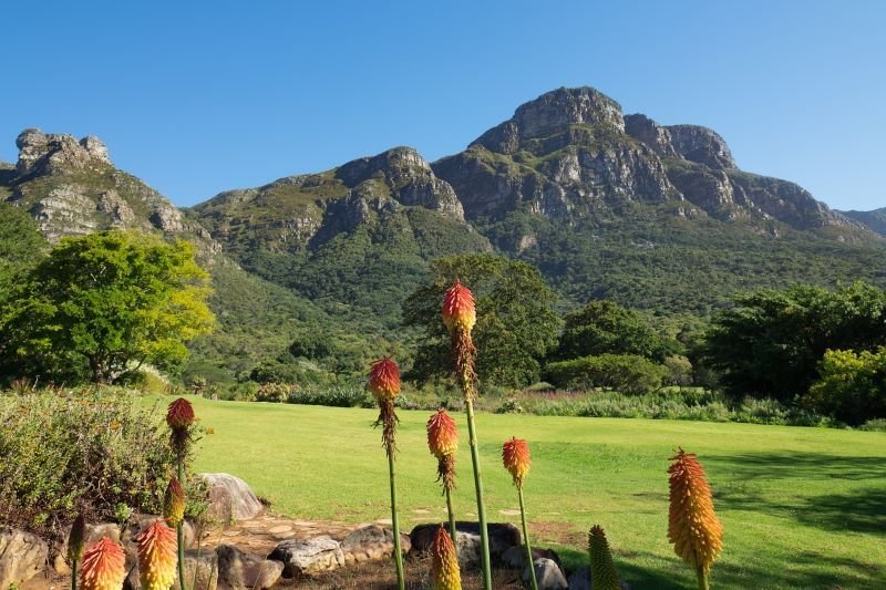 Kirstenbosch National Botanical Garden