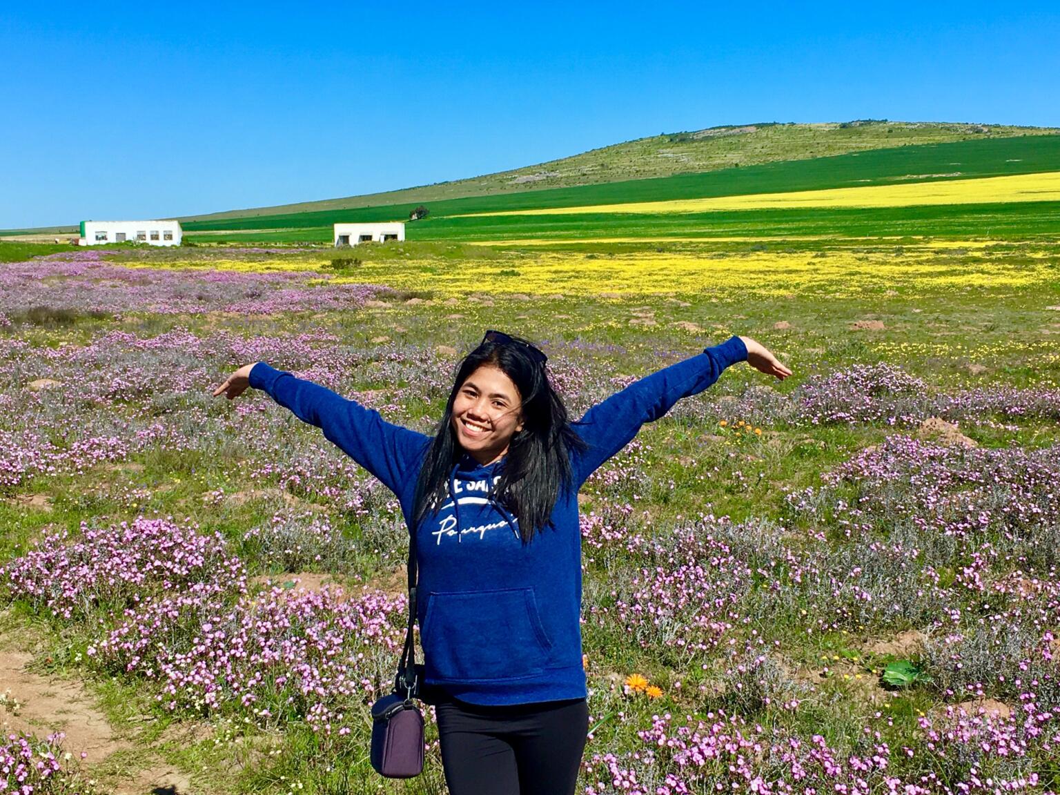 wild flower fields in western cape