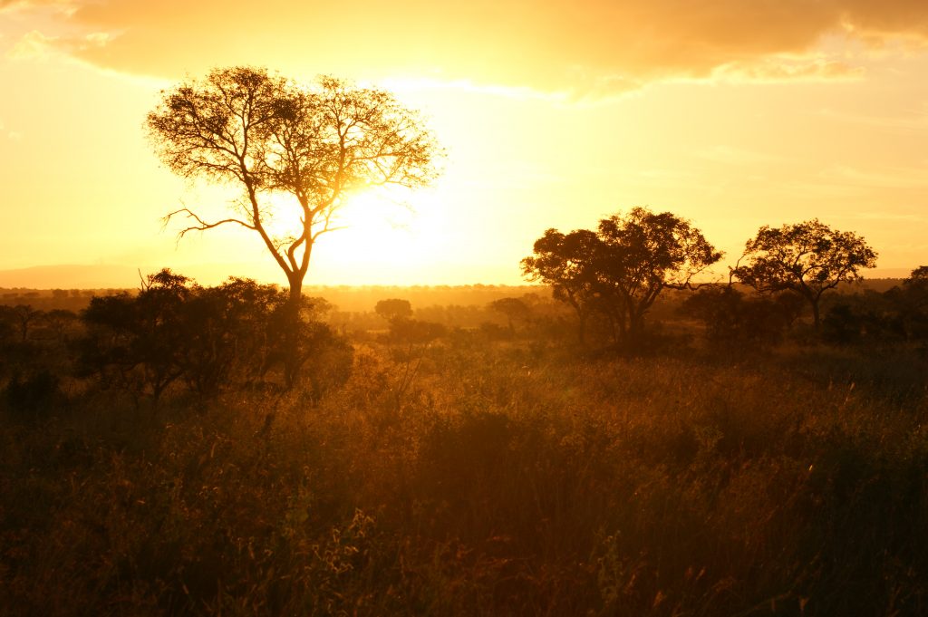 african sunset