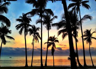 zanzibar sunset