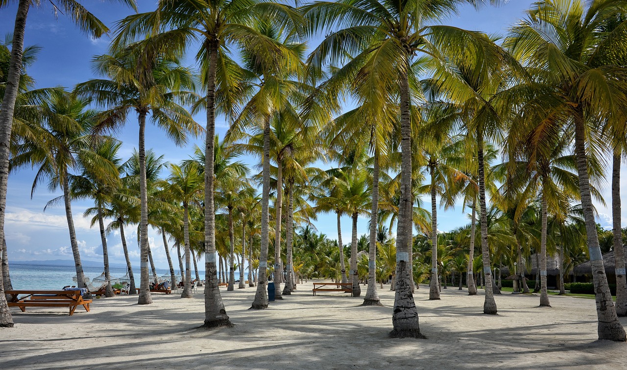 The Ultimate Guide To Bohol Tourist Spots - The Travelling Pinoys