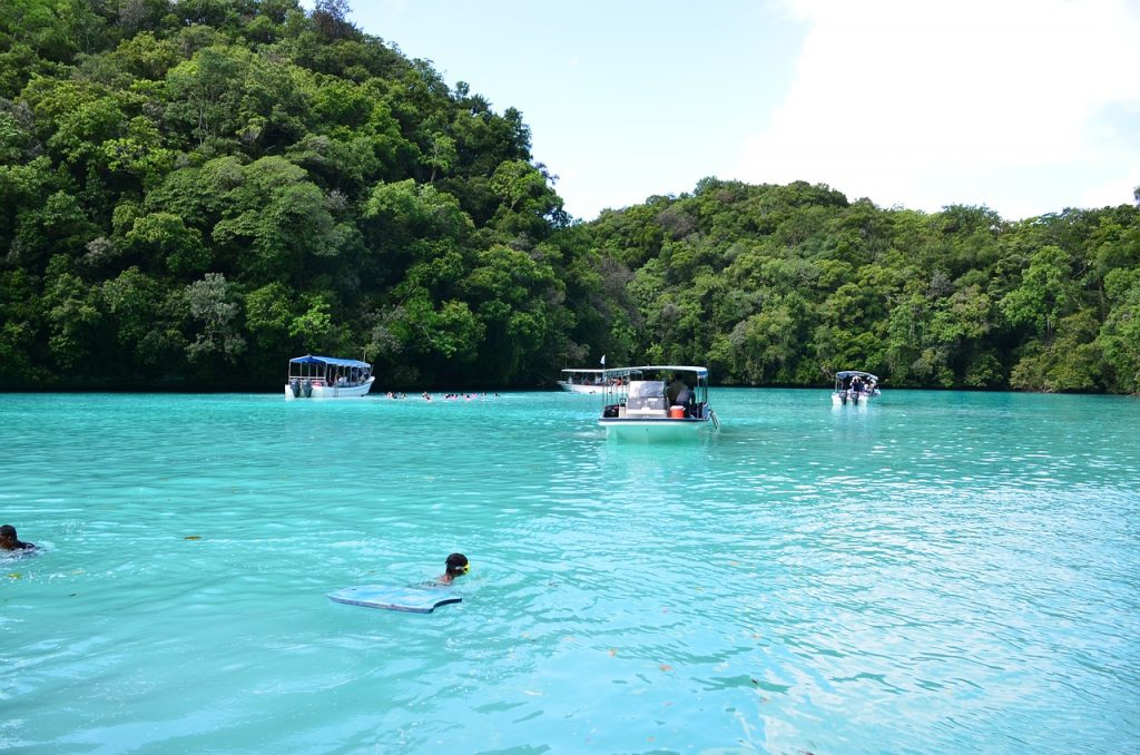 things to do in palau