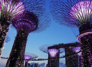 garden by the bay free walking tour in singapore free things to do in singapore