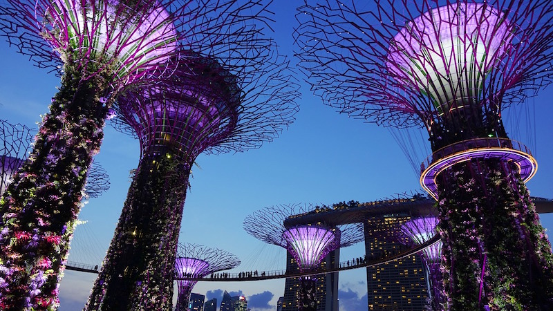 free walking tour in singapore garden by the bay