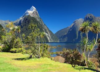 new zealand tourist visa mitre peak