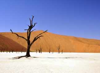 namibia visa dead vlei