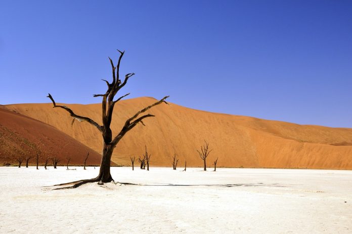 namibia visa dead vlei