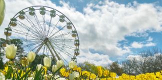COMMONWEALTH PARK CANBERRA