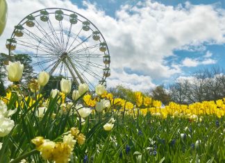 COMMONWEALTH PARK CANBERRA