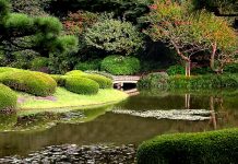 Imperial Palace Garden Tokyo