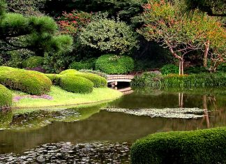 Imperial Palace Garden Tokyo