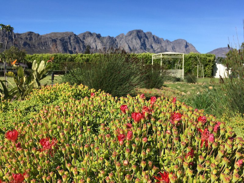 things to do in franschhoek