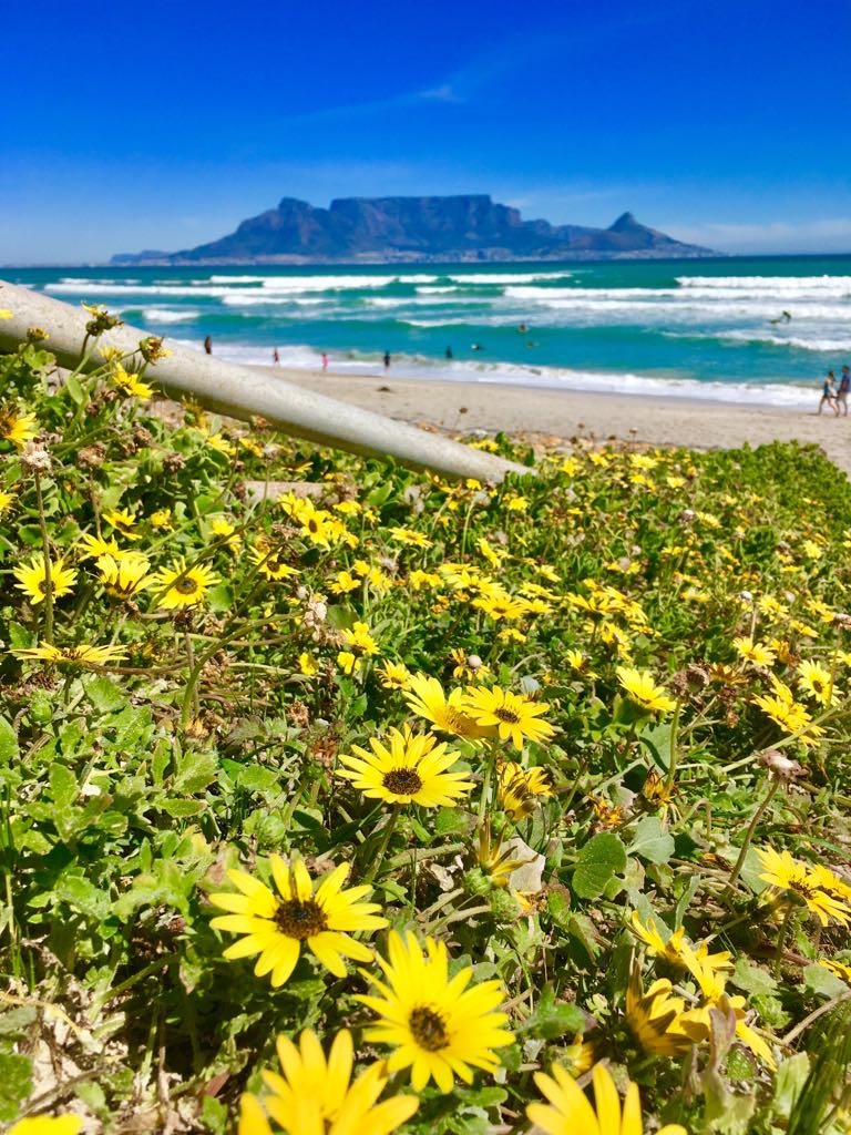 table mountain cape town