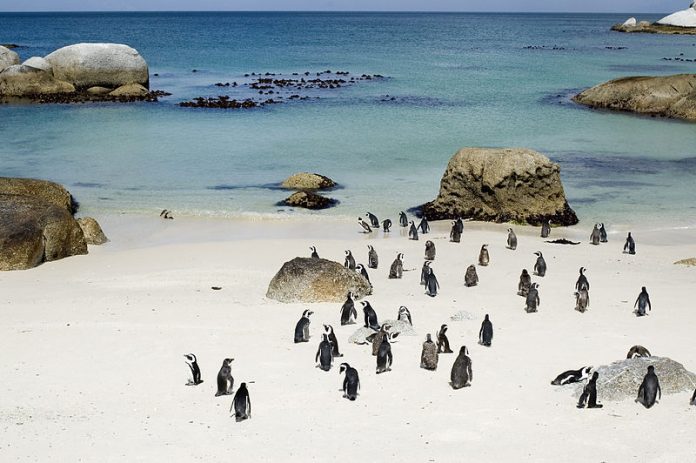 boulders beach