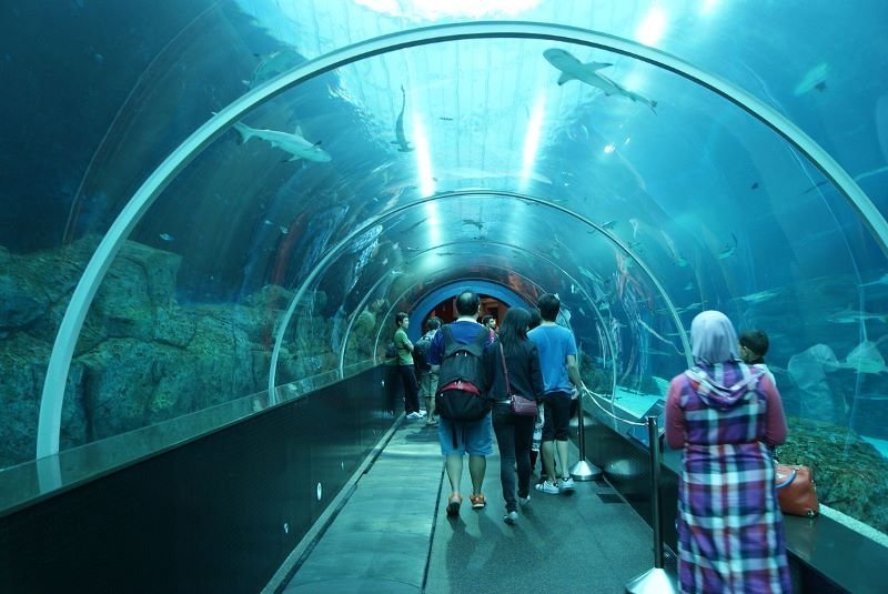 S. E. A. Aquarium in singapore