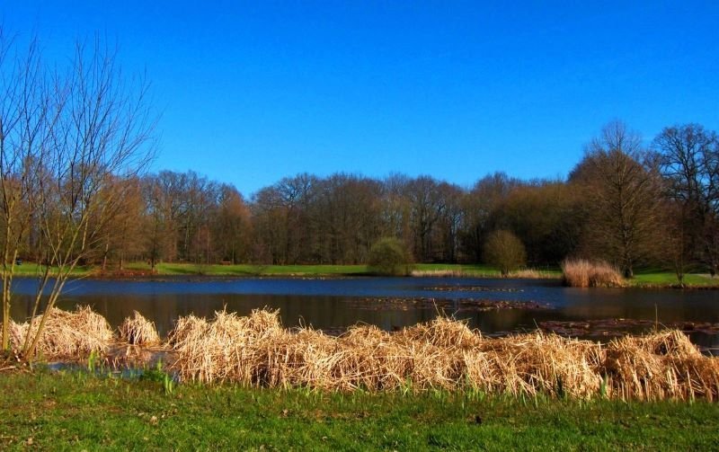 Parc des Gayeulles