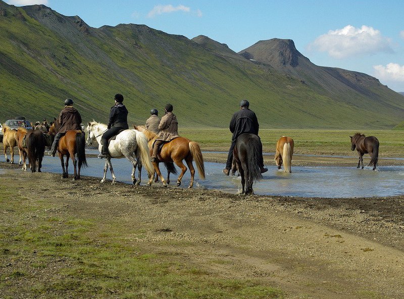 Horses Riders Iceland