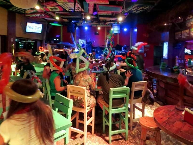 Señor Frogs