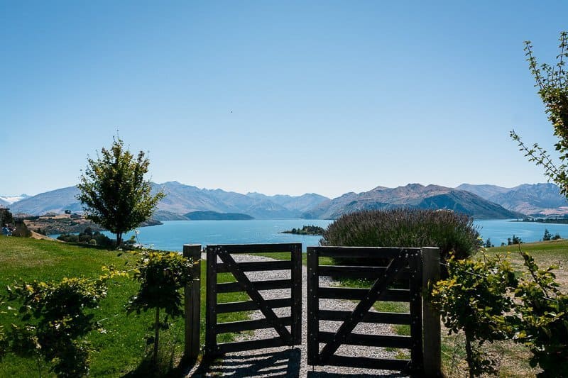 Wanaka Rippon Vineyard