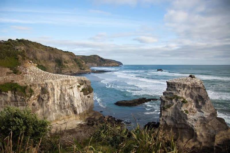 muriwai beach new zealand