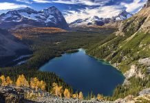 Lake O'Hara Yoho National Park