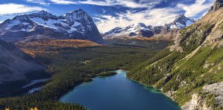 Lake O'Hara Yoho National Park