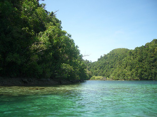 Catch The Hues At The Mangrove Wharf