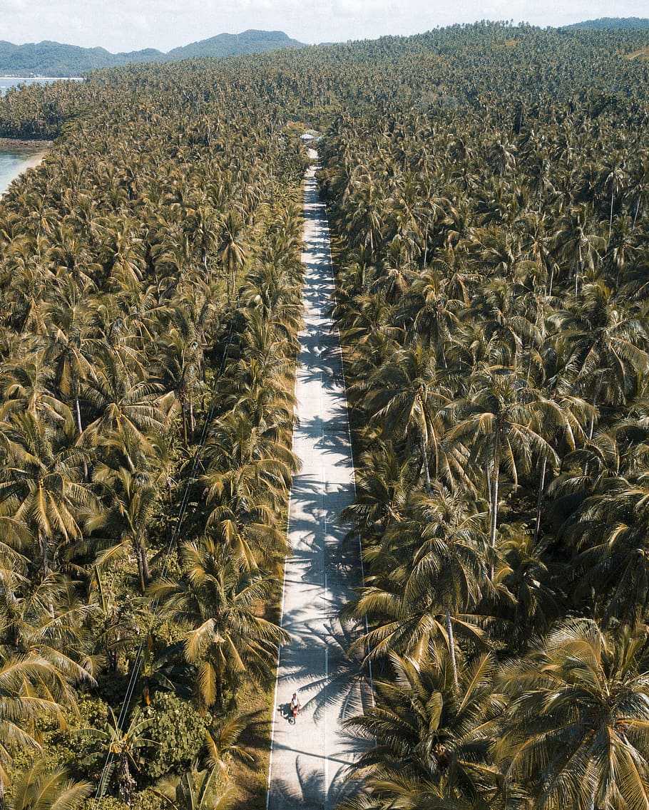 ride around the island