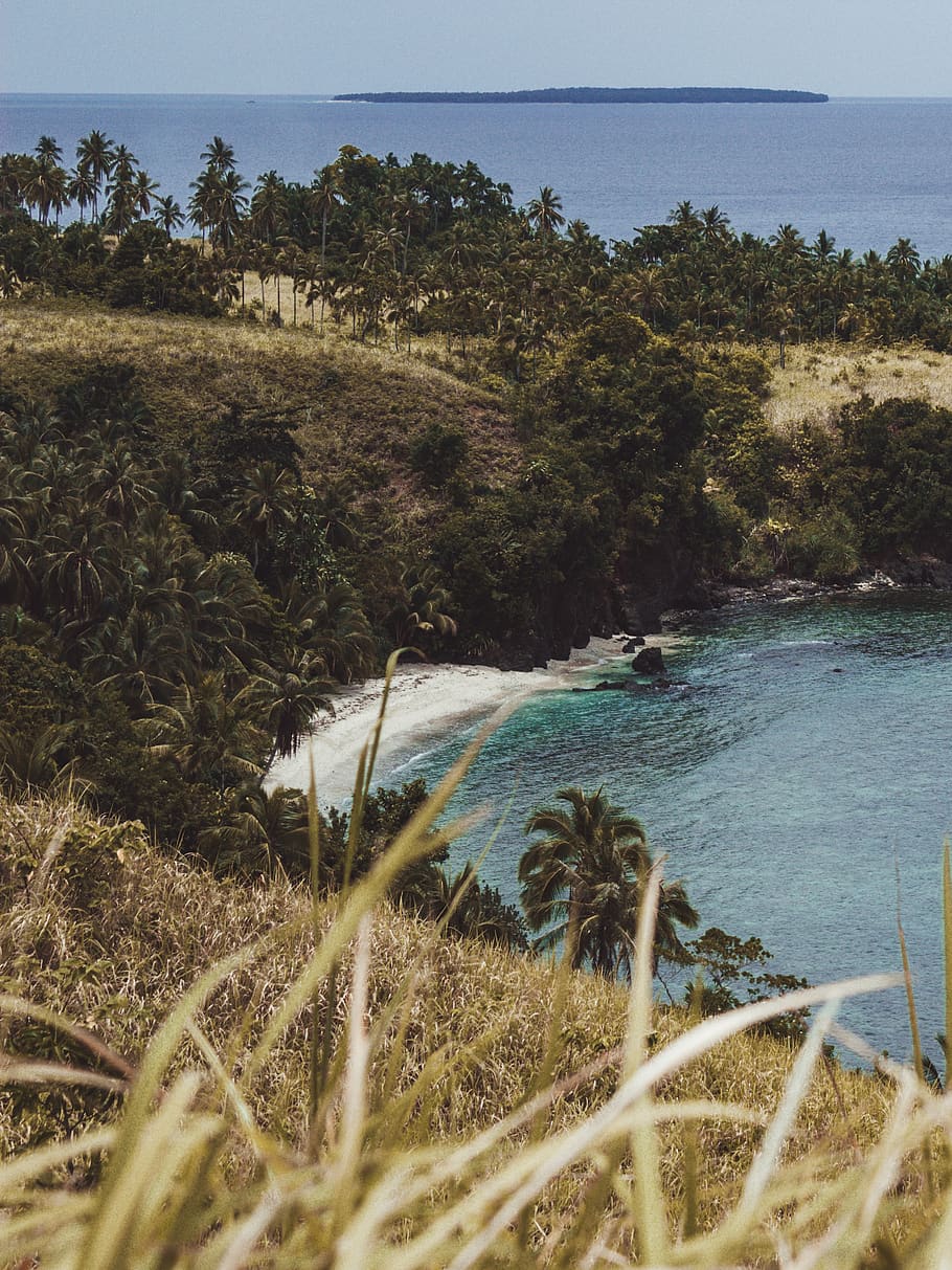 Sohoton Cove, Daku Island, Guyam Island, and Naked Island Day Trip