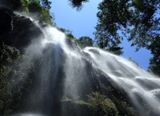 Cebu