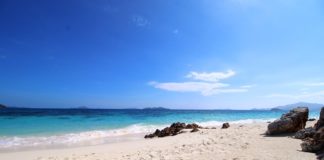 Coron